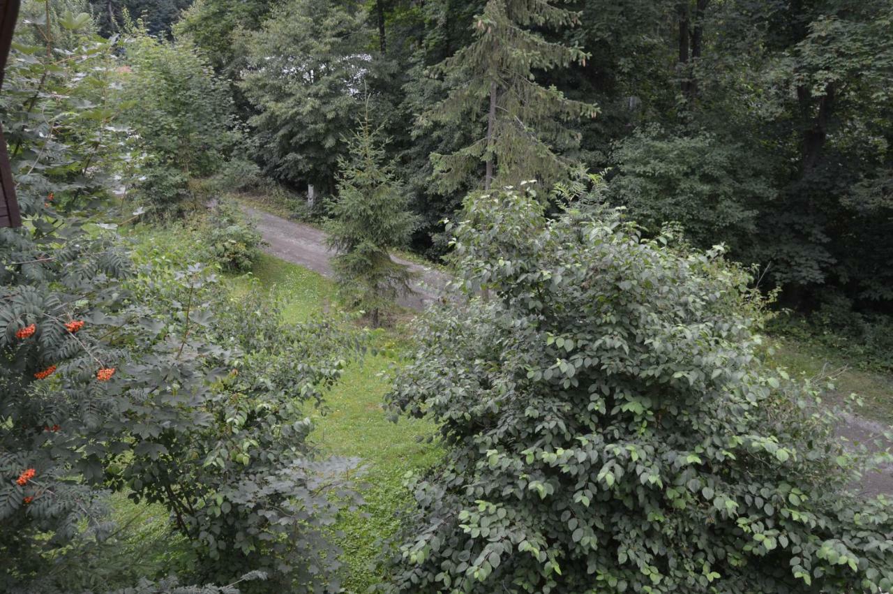 Chata Adrian Slovak Paradise Spišské Tomášovce Exteriér fotografie